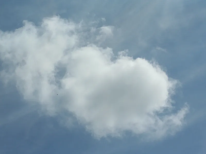 Energy Efficient Windows — Gallery Roehampton