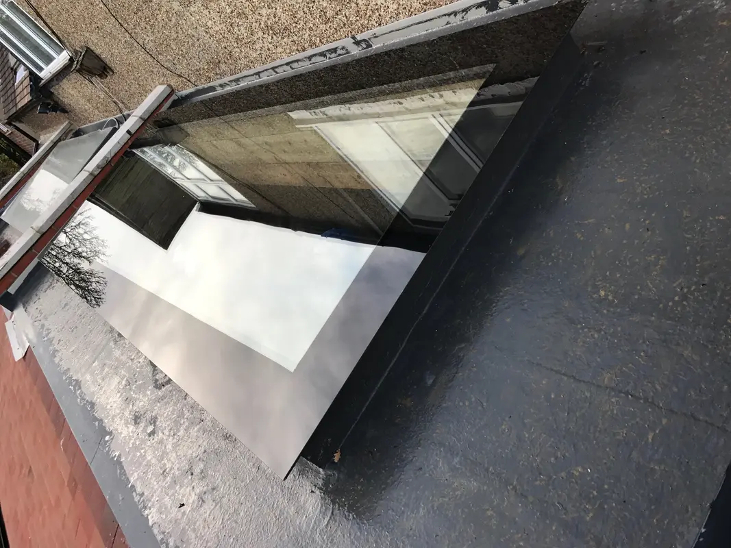 Velux Windows Roehampton